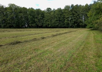 działka na sprzedaż - Ustroń, Nierodzim